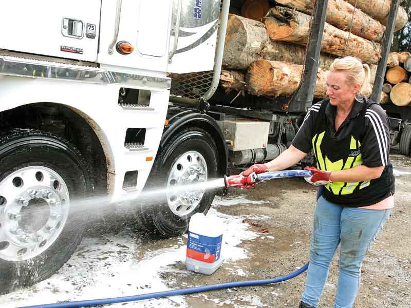 Logging Woman Tree Women loggers in NZ