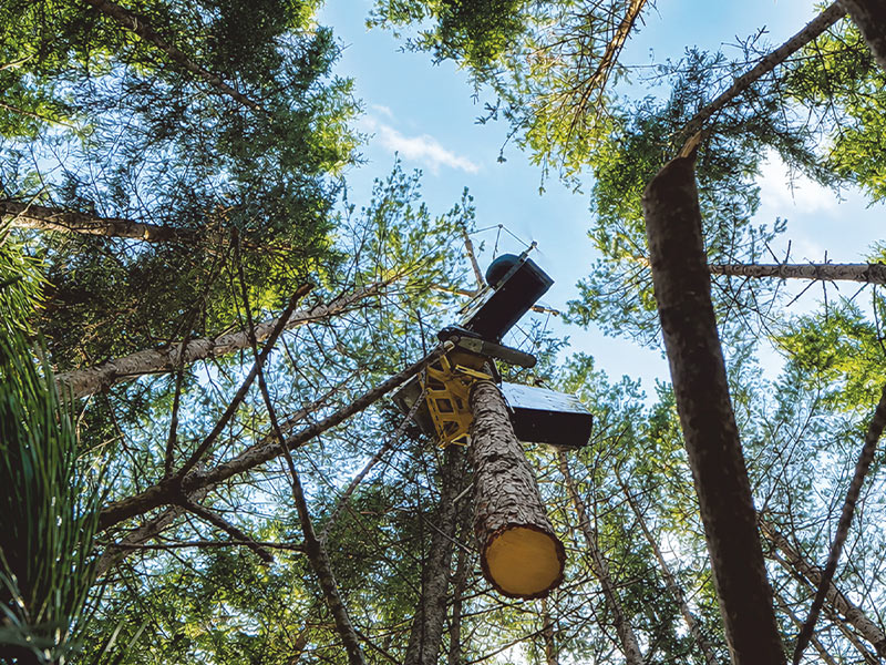 Technology: AirForestry